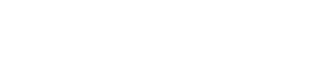 CEO Policy Institute